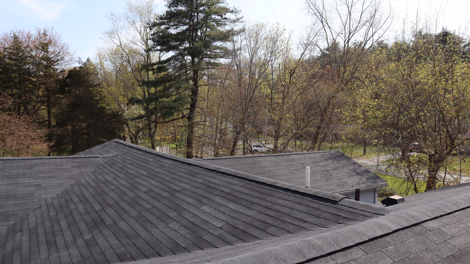 New shingle roof surrounded by trees