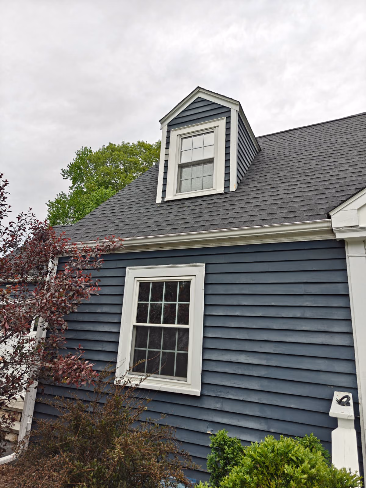 Blue clapboard home with new white windows
